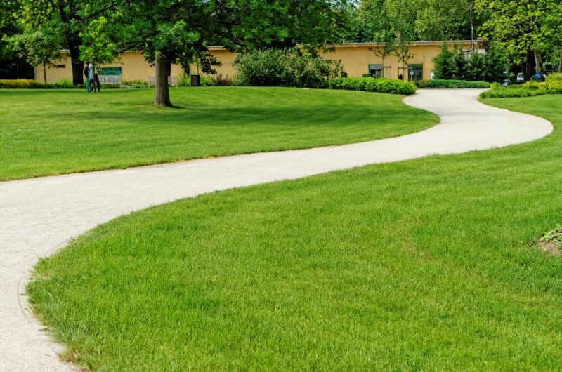 Concrete Sidewalk Removal